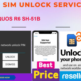 sim unlock service AQUOS R6 SH-51B